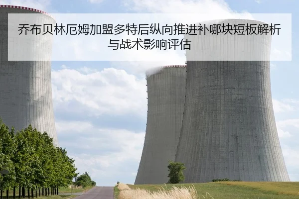 乔布贝林厄姆加盟多特后纵向推进补哪块短板解析与战术影响评估