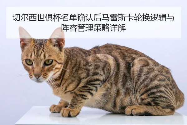 qie-er-xi-shi-ju-bei-ming-dan-que-ren-hou-ma-lei-si-ka-lun-huan-luo-ji-yu-zhen-rong-guan-li-ce-lve-xiang-jie-2-770.jpg